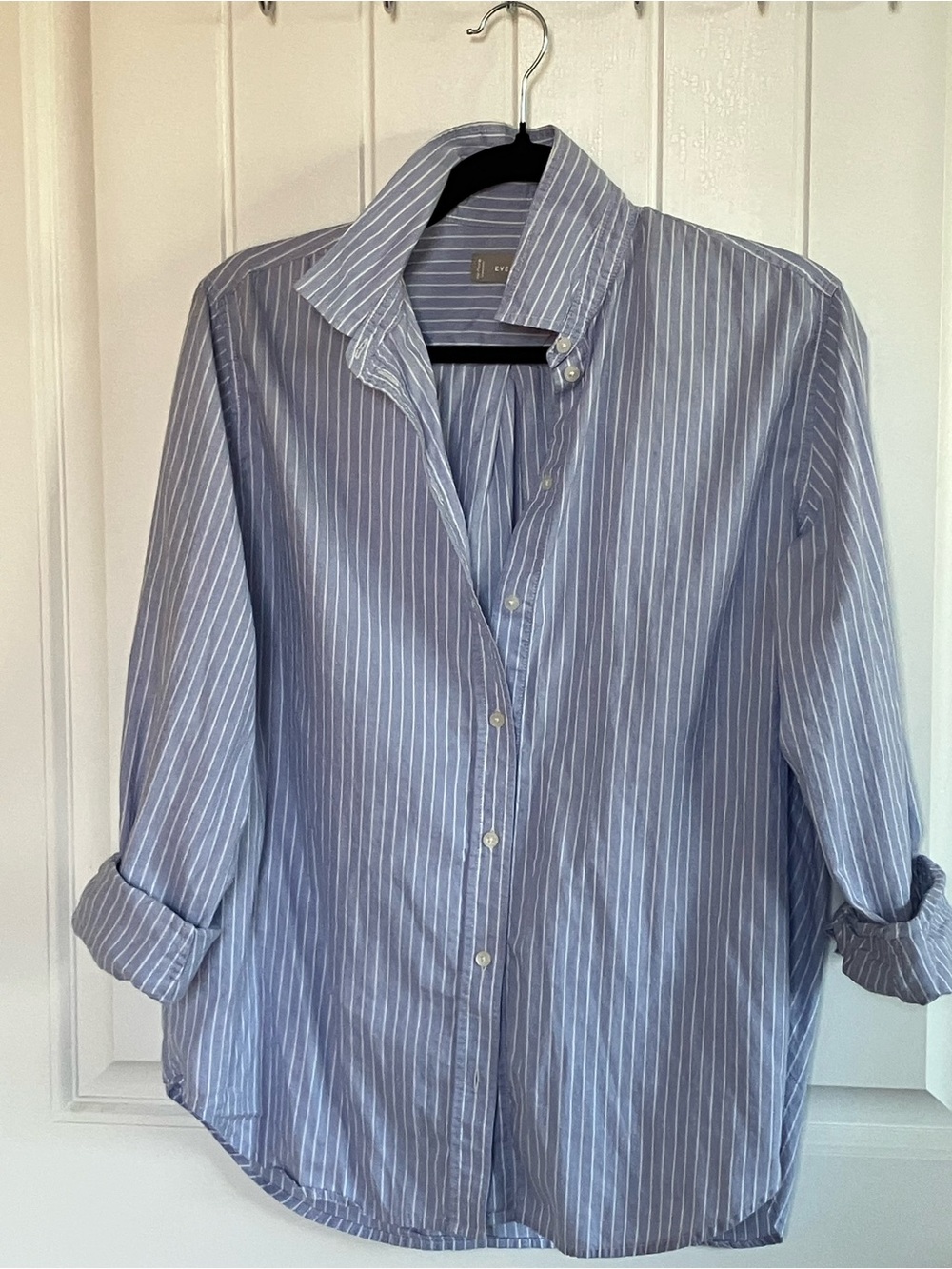 Everlane Light Blue Pinstripe Casual Button-Down Shirt